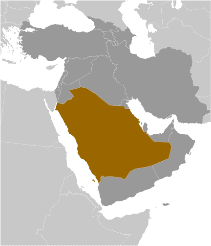 Physical Map of Saudi Arabia